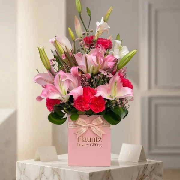 Lille & Carnation in Box