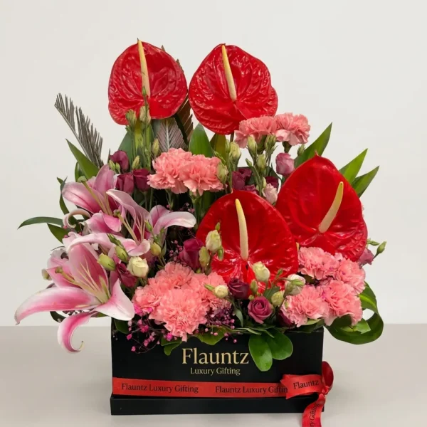 Red Anthurium Pink Carnation Box
